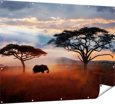 Gards Tuinposter Olifant in het Wild - Savanne - 160x120 cm - Tuindoek - Tuindecoratie - Wanddecoratie buiten - Tuinschilderij