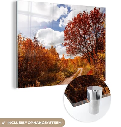 MuchoWow® Glasschilderij 120x90 cm - Schilderij acrylglas - Boom - Pad - Herfst - Foto op glas - Schilderijen