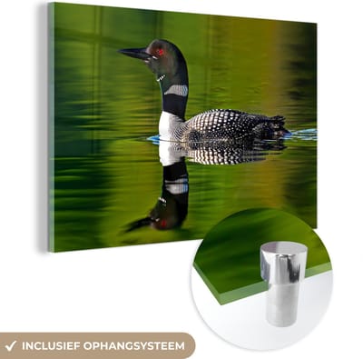 ® Glasschilderij 180x120 cm - Schilderij acrylglas - Reflectie van een Ijsduiker - Foto op glas - Muurdecoratie woonkamer - Wanddecoratie slaapkamer - Schilderijen