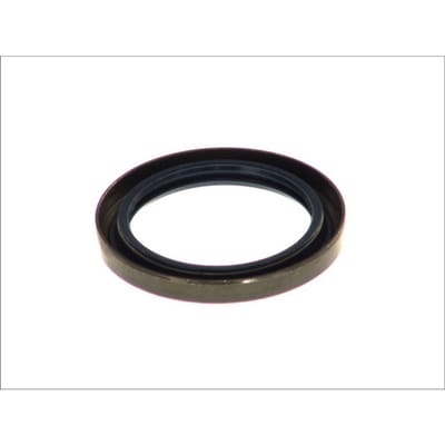 Oliekeerring, rem nokkenas DT Spare Parts 1.18187