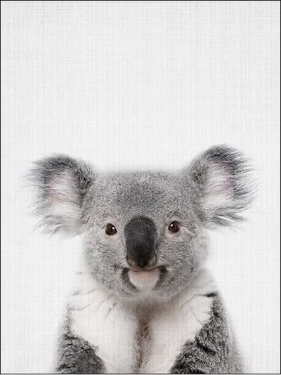 Ychee - Canvas Poster - Baby Kamer - Kinder Kamer - Slaap Kamer - Dieren - Decoratie - Art - Geen fotolijst/frame inbegrepen - 30x40cm - Koala