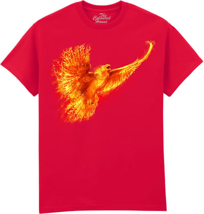 Phoenix Rising The Coloured House T-shirt M