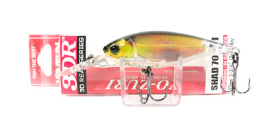 Yo Zuri Duel 3DR Shad 70SP Hangaas R1312-RGSN (6373)