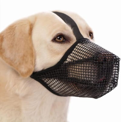 Verstelbare en Ademend Hondenmuilkorf, Zacht en Comfortabel voor Kleine en Grote Honden, Ideaal voor Training en Veiligheid
