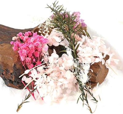 Natuurlijke gedroogde bloemen - echte kunstbloemen - gemengde bloemblaadjes en eeuwige gedroogde bloemblaadjes voor knutselprojecten - scrapbooking - kaarsdecoratie - cadeaukaarten.