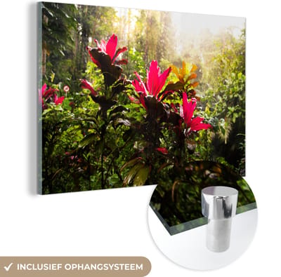MuchoWow® Glasschilderij 60x40 cm - Schilderij acrylglas - Prachtige bloemen middenin de jungle - Foto op glas - Schilderijen