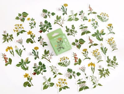 Bullet Journal Stickers - Planner Agenda Stickers - 46 Stuks - Paardenbloem - Wild Flowers - Planten - Botanisch - Scrapbook stickers - Bujo stickers - Stickers volwassenen en kinderen