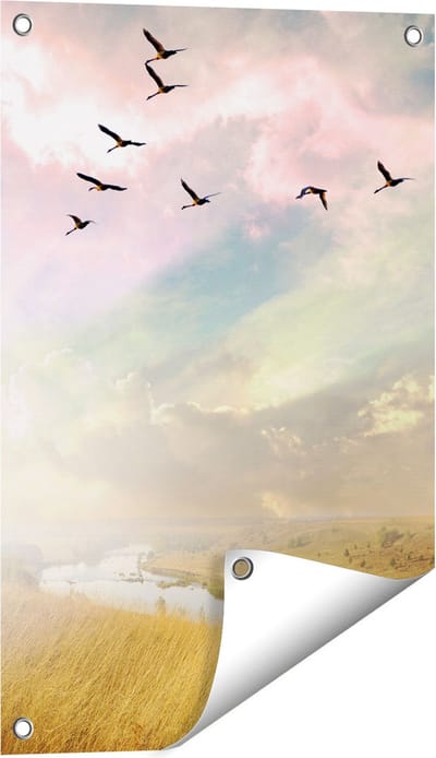Gards Tuinposter Groep Vogels Vliegen Boven het Gras - 40x60 cm - Tuindoek - Tuindecoratie - Wanddecoratie buiten - Tuinschilderij