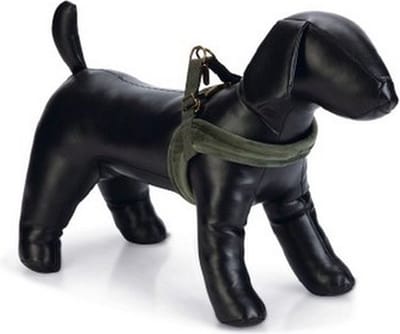 Designed by Lotte Velura - Hondentuig - Groen - S - 20 mm x 52 cm