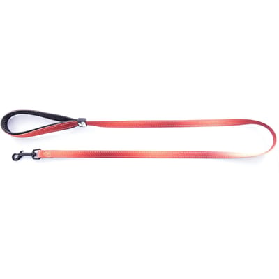 Nylon hondenriem Martin Sellier S