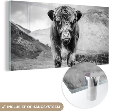 MuchoWow® Glasschilderij 40x20 cm - Schilderij acrylglas - Schotse Hooglander - Berg - Zwart - Wit - Foto op glas - Schilderijen