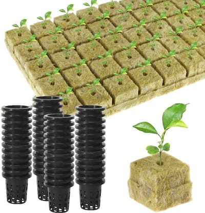 50 Stuks Groene Rockwol Blokken voor Hydroponische Teelt, Zaailingen, Klonen en Transplantatie