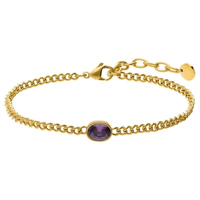 Lucardi - Dames Stainless steel armband met geboortesteen zirkonia voor dames - Armband - Staal - Goudkleurig - 20 cm