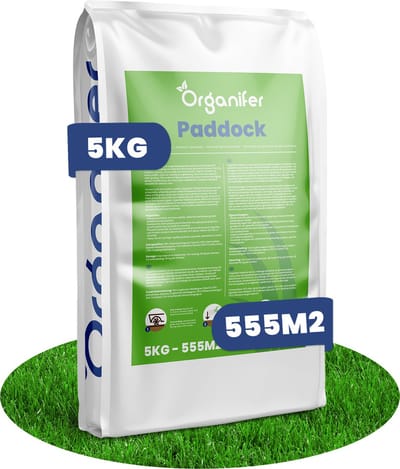 Paddock Weide Graszaad - 5 Kg Voor 250 M2 - Paardenweide & Paddock Mix - Dicht, Slijtvast Gras, Laag Fructaangehalte, Hoge Voederwaarde - Nak-Gecertificeerd, Veerkrachtig En Duurzaam - Organifer