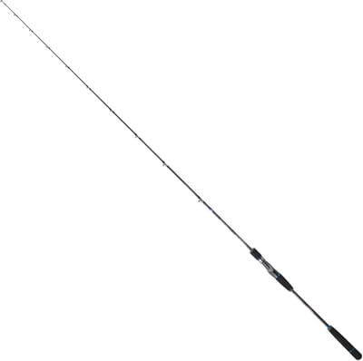 Sakura Ryokan Sw Casting Jigging Hengel Zilver 1.93 m / 90-200 g