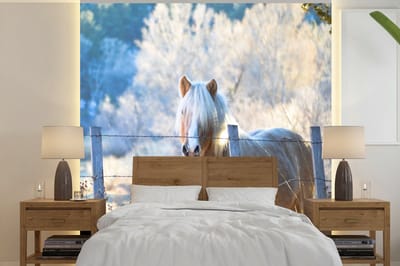 Behang - Fotobehang Paard - Winter - Sneeuw - Breedte 260 cm x hoogte 260 cm