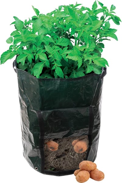Silverline Aardappelplantzak - Dubbel gelamineerd - UV-gestabiliseerd - 36 x 51 cm - Wasbaar en herbruikbaar