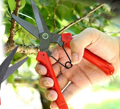 Actie4you® - Snoeischaar – Plantenschaar – Snoeitang – Rozenschaar – Bloemenschaar – Universeel – Rood