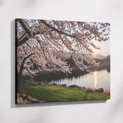 Saammp Muurcirkel Hout - Vrouw - Rode lippen - Kleurrijk - abstract - Ø 80 - Wandcirkel - Wanddecoratie Cirkel - Muurdecoratie Woonkamer - Slaapkamer decoratie - Rond Schilderij