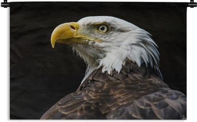 Wandkleed Amerikaanse zeearend - Zijaanzicht van een Amerikaanse zeearend Wandkleed katoen 90x60 cm - Wandtapijt met foto