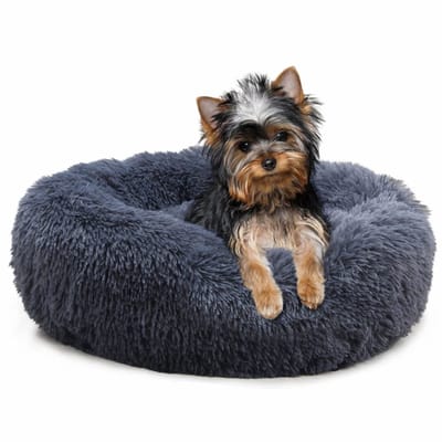 Dierenmand Jenny Donkergrijs, XS
