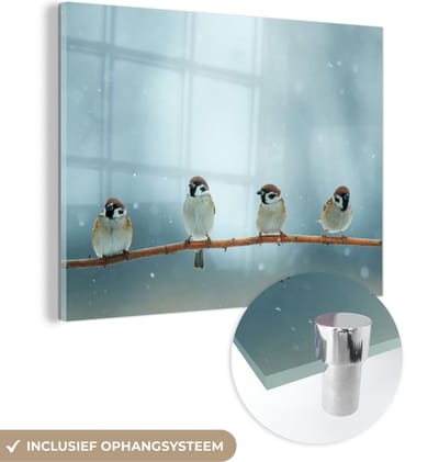 MuchoWow® Glasschilderij 40x30 cm - Schilderij acrylglas - Vogels - Mus - Sneeuw - Winter - Foto op glas - Schilderijen