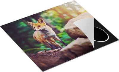 Chefcare Inductie Beschermer Vos in het Bos bij Stenen - 60x50 cm - Afdekplaat Inductie - Kookplaat Beschermer - Inductie Mat