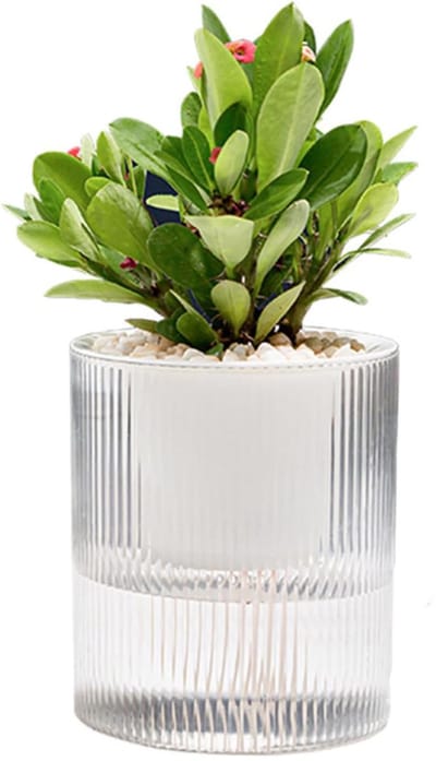 KZQ Zelfwaterende Bloempot 17cm, Doorzichtige Plantenbak met Waterreservoir voor Binnenplanten en Bloemen, Geschikt voor Buitenshuis en Vensterbank, Inclusief Vulset
