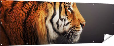 Gards Tuinposter Zijaanzicht van een Tijger - Tijgerkop - 210x70 cm - Tuindoek - Tuindecoratie - Wanddecoratie buiten - Tuinschilderij