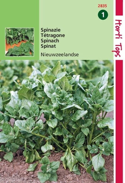 2 stuks Hortitops Spinazie Nieuwzeelandse