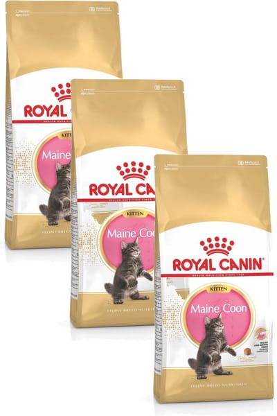 Royal Canin Maine Coon Kitten - Kitten-Kattenvoer - 3 x 2 kg
