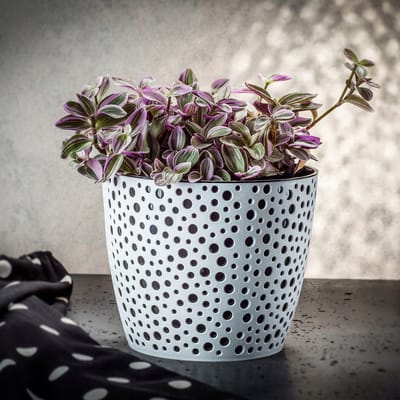 KADAX Bloempot van kunststof, diameter 11-21 cm, 5 kleuren, eenvoudige pot, robuuste plantenpot, plantenbak, ronde bloempotbescherming voor varen, diameter 21 cm, zwart
