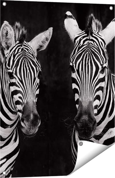 Gards Tuinposter Twee Zebra's - Zwart Wit - 60x80 cm - Tuindoek - Tuindecoratie - Wanddecoratie buiten - Tuinschilderij
