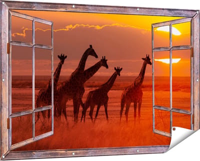 Gards Tuinposter Doorkijk Giraffe Kudde bij Zonsondergang - 150x100 cm - Tuindoek - Tuindecoratie - Wanddecoratie buiten - Tuinschilderij