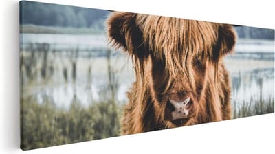 Artaza Canvas Schilderij Hooglander - 60x20 cm - Canvas Schilderijen Woonkamer - Muurdecoratie Natuur - Kamer Accessoires
