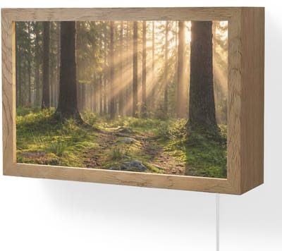 Wandlamp 30x20 cm - Oplaadbaar - Bos - Zonlicht - Gras - Wandlampen binnen woonkamer - Slaapkamer lamp met kabel - Decoratieve nachtlamp - Vloerlamp snoer