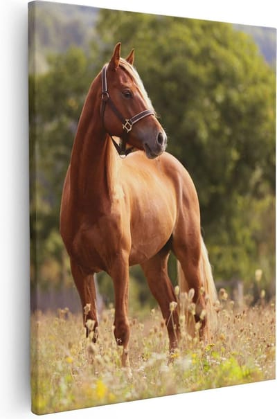 Artaza Canvas Schilderij Paard - 80x100 cm - Groot - Wanddecoratie Weiland - Muurdecoratie Dieren - Schilderijen Op Canvas