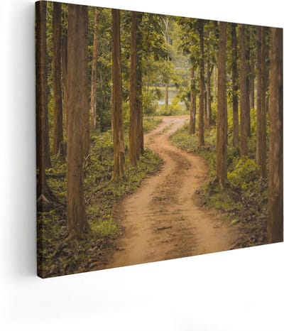 Artaza Canvas Schilderij Bos - 100x80 cm - Groot - Wanddecoratie Landschap - Muurdecoratie Bospad - Schilderijen Op Canvas Natuur