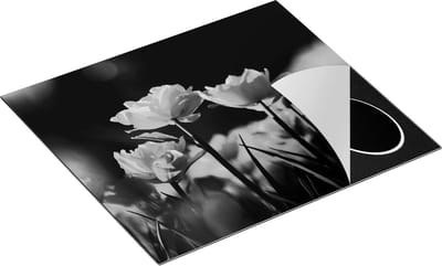 Chefcare Inductie Beschermer Gele Tulpen - Bloemen - Zwart Wit - 60x50 cm - Afdekplaat Inductie - Kookplaat Beschermer - Inductie Mat