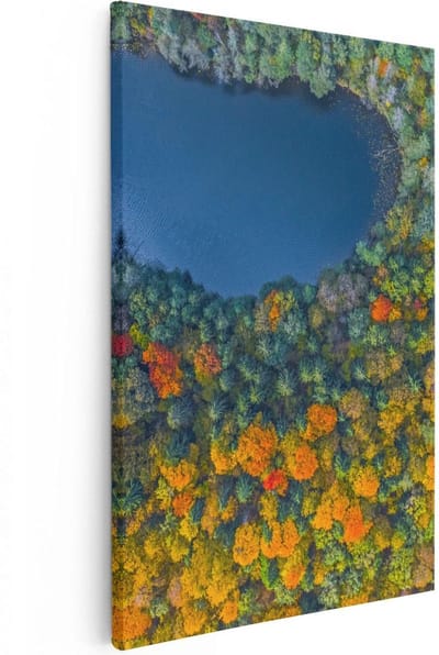 Artaza Canvas Schilderij Herfstbos - 40x60 cm - Wanddecoratie Landschap - Muurdecoratie Bos - Schilderijen Op Canvas Natuur