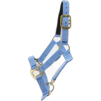 Halster voor paarden Norton Doublé cuir