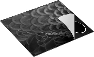 Chefcare Inductie Beschermer Kleurrijke Pauw Veren van Dichtbij - Zwart Wit - 60x50 cm - Afdekplaat Inductie - Kookplaat Beschermer - Inductie Mat