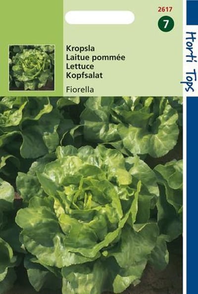 Hortitops Zaden - Kropsla Fiorella/Malfalda Luisresistent