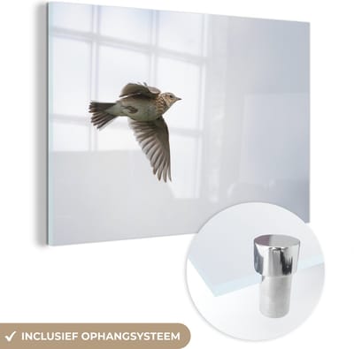 ® Glasschilderij 180x120 cm - Schilderij acrylglas - Leeuwerik vliegend door de wolken - Foto op glas - Muurdecoratie woonkamer - Wanddecoratie slaapkamer - Schilderijen