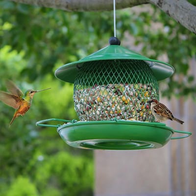 Robuuste metalen voederbak met grote capaciteit – Voor eekhoorns en wilde vogels – Geschikt voor scharlakenvinken, blauwe gaaien en diverse tuinvogels