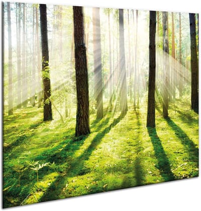 Universele Afdekplaat - Snijplank Kookplaat - Keuken Werkblad - Hittebestendig Gehard Glas - 60 x 52 cm