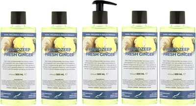 Handzeep Fresh Ginger 500 ml - met gratis pompje - set van 5 stuks - Voordeelverpakking