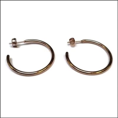 Aramat Jewels | Oorbellen | RVS Hoepel Oorstekers | Rosékleurig / 30mm | |2mm | Staal | Volwassenen | Verkleurd niet