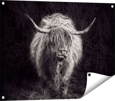 Gards Tuinposter Schotse Hooglander Koe - Zwart Wit - 80x60 cm - Tuindoek - Tuindecoratie - Wanddecoratie buiten - Tuinschilderij