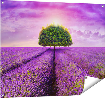 Gards Tuinposter Groene Boom in de Lavendel Bloemen - 100x80 cm - Tuindoek - Tuindecoratie - Wanddecoratie buiten - Tuinschilderij